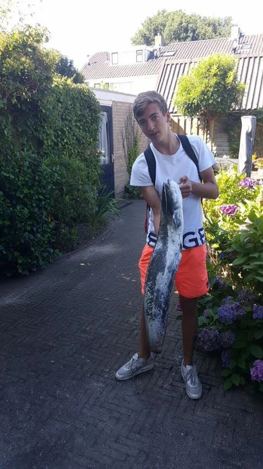 Tienjarige Wytse Punter met een jonge Europese meerval (wels) in een Nederlandse buurtstraat