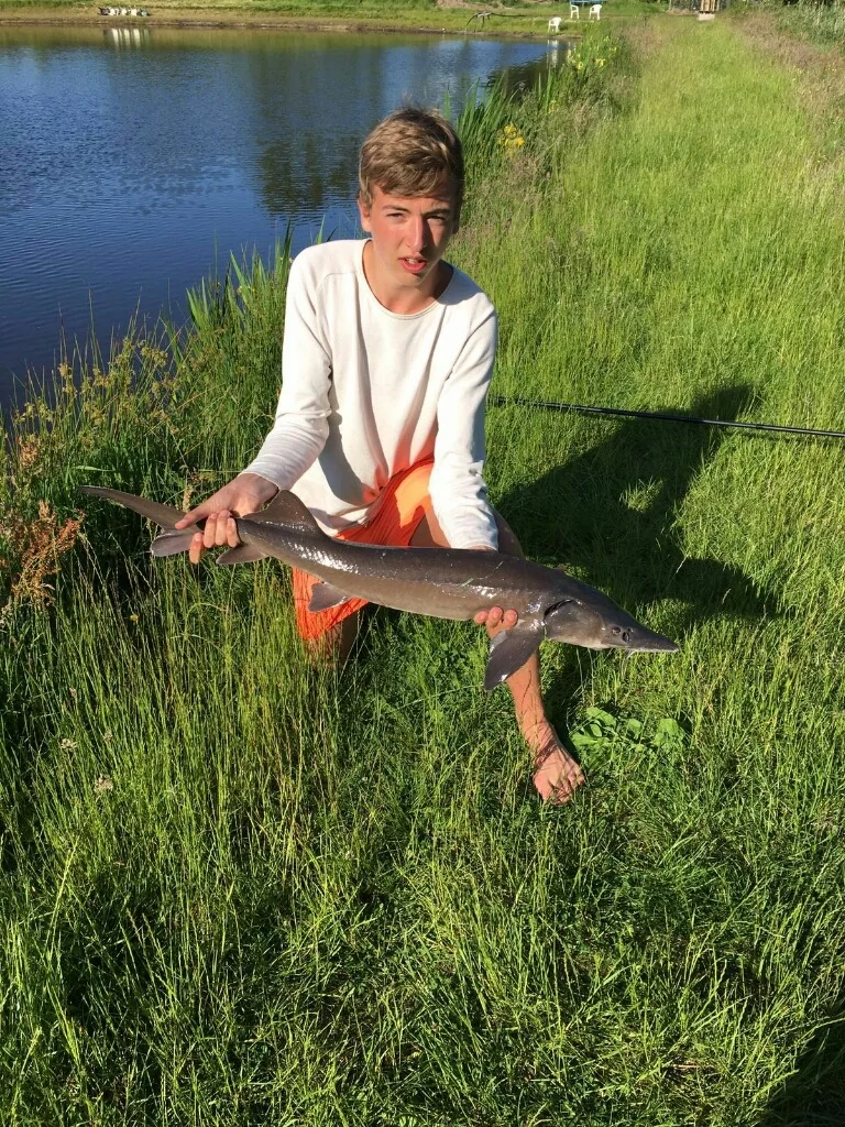 Jonge Wytse Punter met een steur op een grasoever