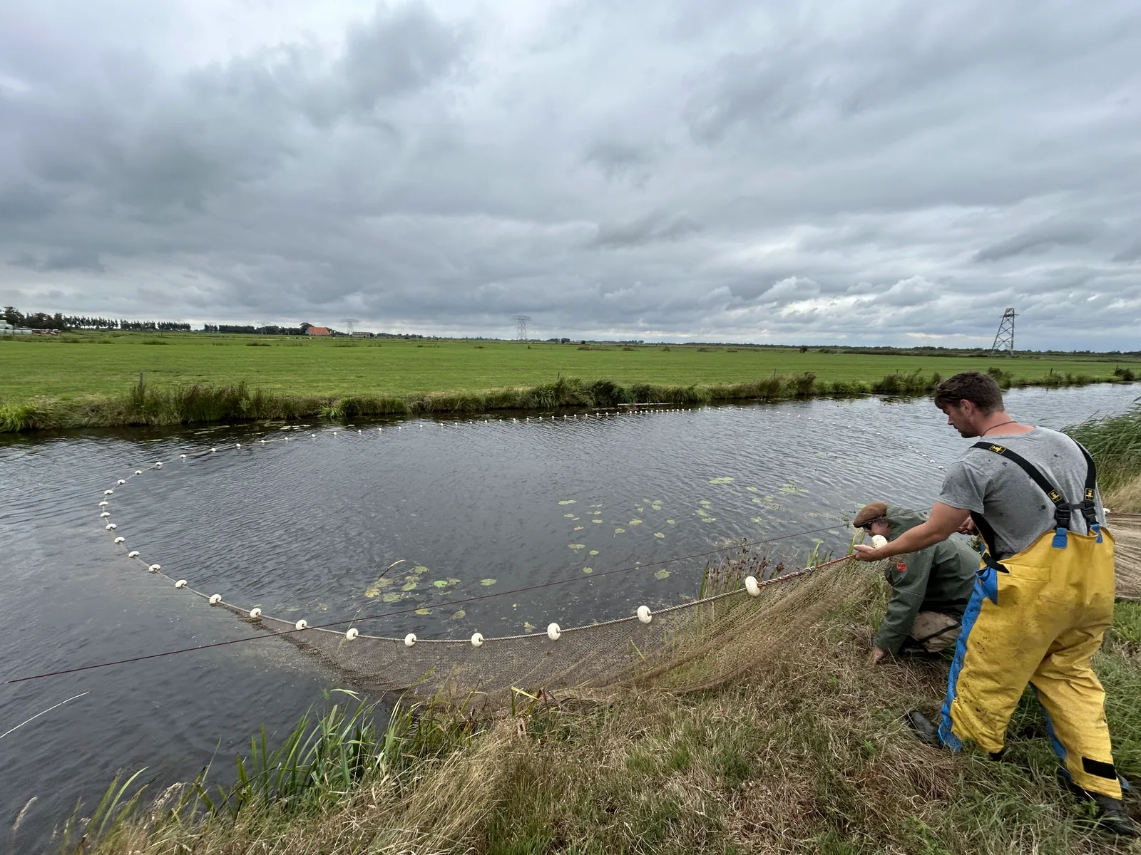 A seine net is drawn in a wide arc through a polder ditch, with pasture and a low grey sky behind it.