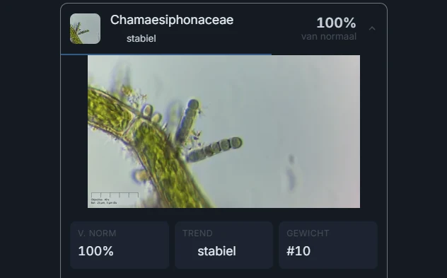 Bij 'waarom is dit een goede stek' toont elke organismefactor hoe oververtegenwoordigd het hier is — als percentage van een doorsnee water (100% = normaal), gecorrigeerd voor hoeveel er is bemonsterd.