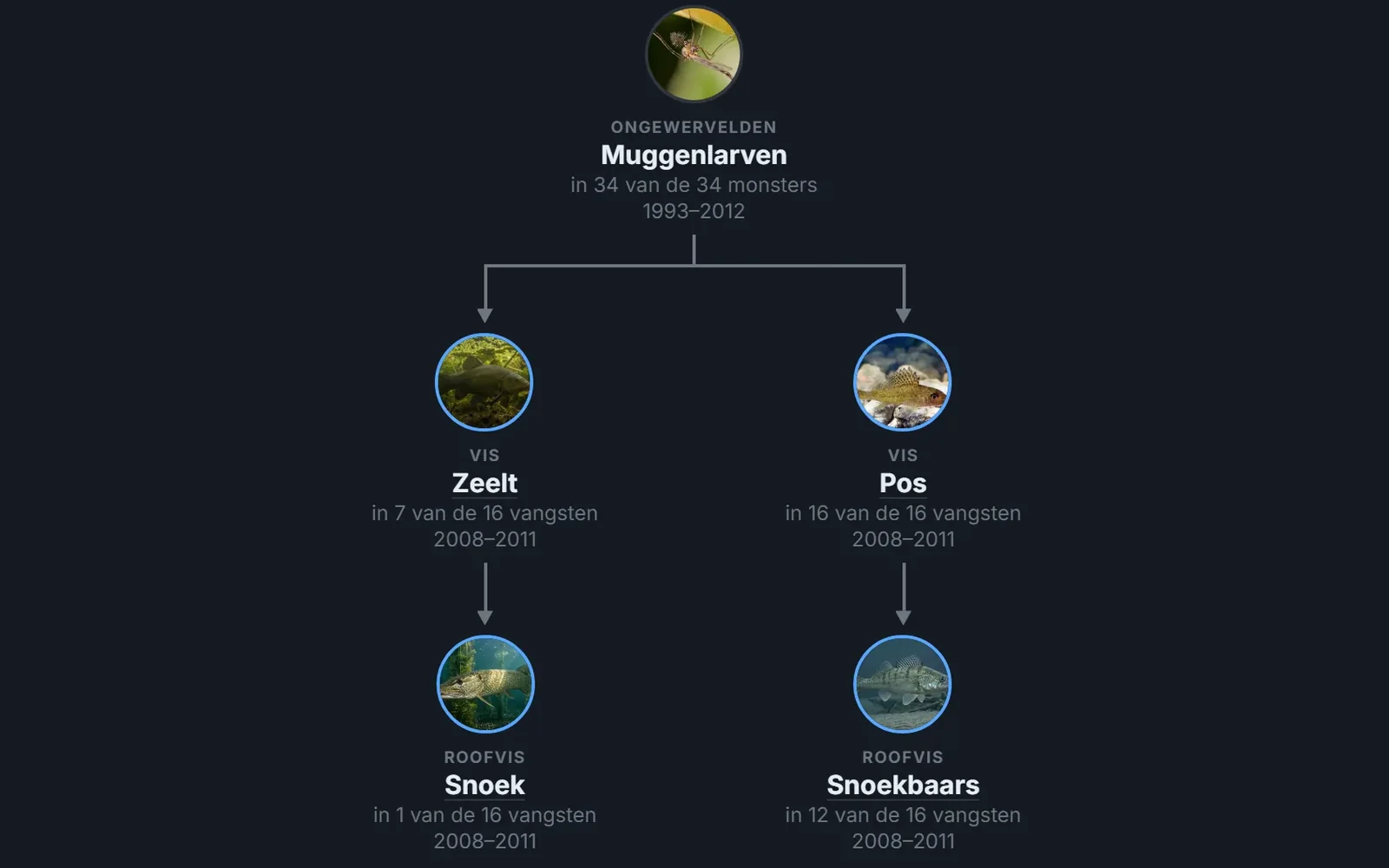 De voedselketen van het Zwarte Meer. Elke stap is in het meer zelf gevonden, met het aantal monsters erbij, en elke pijl heeft een bron.