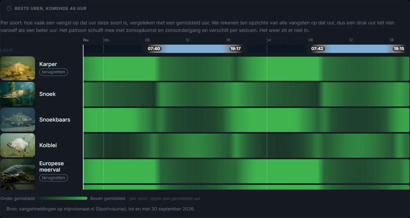 De beste uren van de komende 48 uur, per soort, tegen een gemiddeld uur. Het patroon schuift mee met zonsopkomst en zonsondergang. Gratis, uit de vangstmeldingen van mijnvismaat.nl.