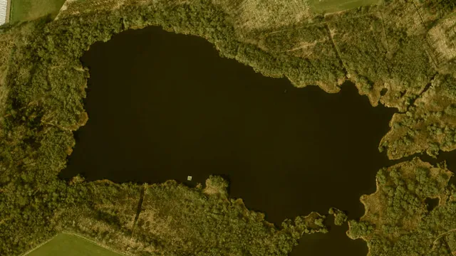 Luchtfoto van De Hoort