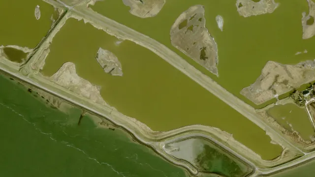 Luchtfoto van Flaauwersinlaag
