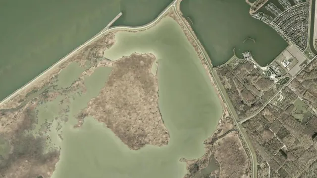 Aerial view of Hoekplas
