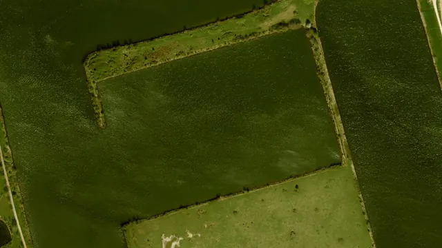 Luchtfoto van Maas