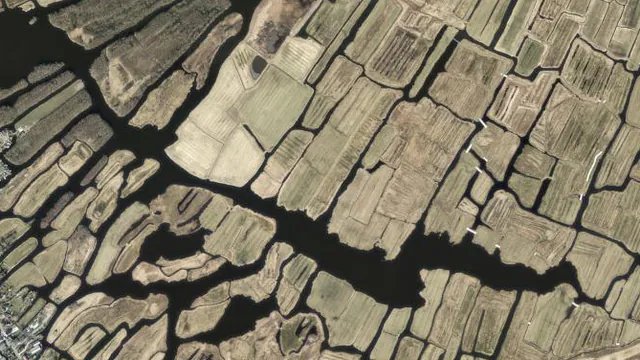 Luchtfoto van Nieuwe Gouw