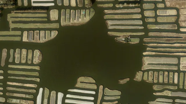 Luchtfoto van Oosterdel