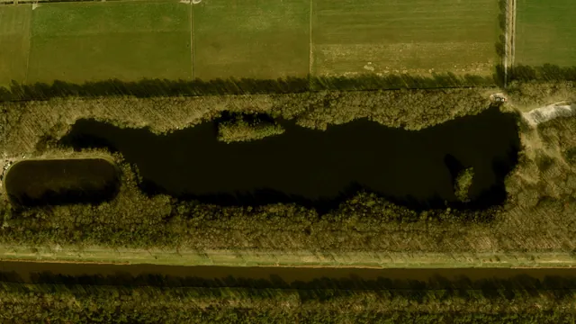 Luchtfoto van Roeivijver