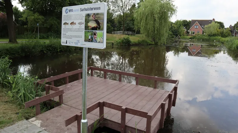 The sign of the VISparel Surhuisterveen beside a fishing platform on a village pond; the sign shows carp, tench and rudd, among other things